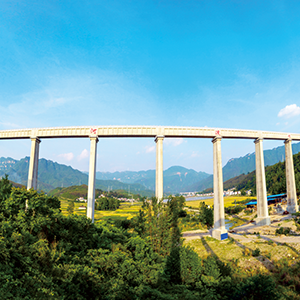 湖北省漳河总干渠2025年工程运行维护项目（小型水库维修养护） 竞争性谈判公告